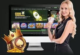 vl66 ဘင်ဂို ကစားနည်း MMK ငွေသွင်း KBZPay Wave Money Myanmar Bingo guide
